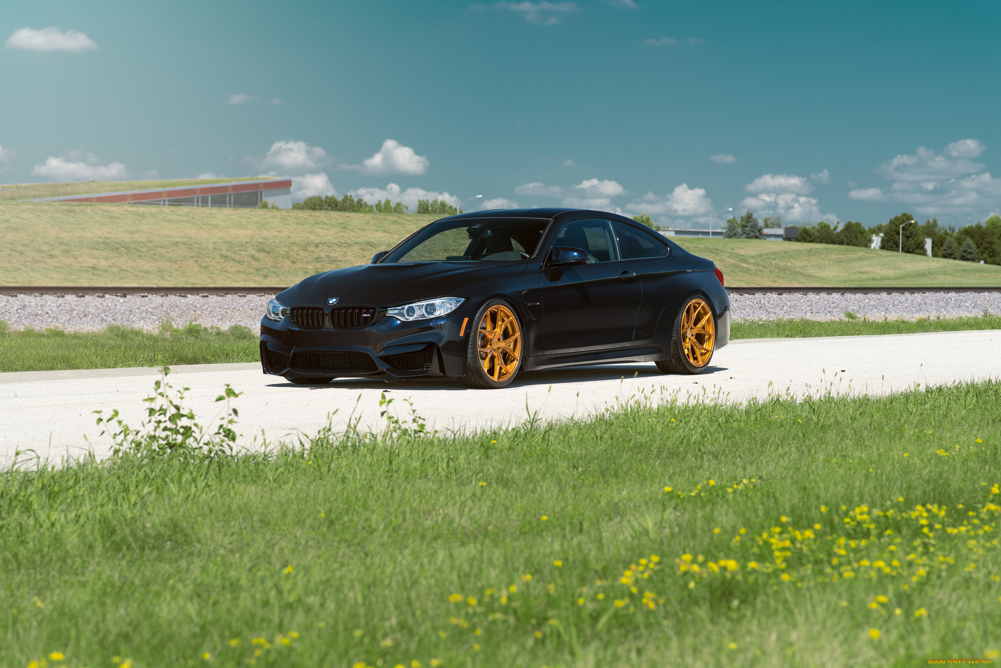 , bmw, grass, day, car, front, summer, m4, azurite, black